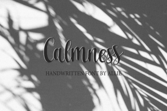 Calmness Font: Delicate Charm for Handmade Products