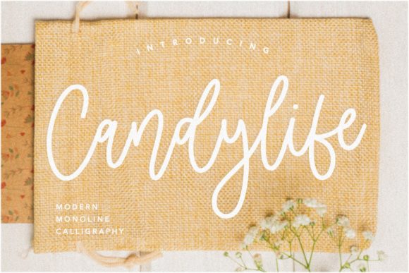 Candylife: A Script Font Built for Real Branding Work