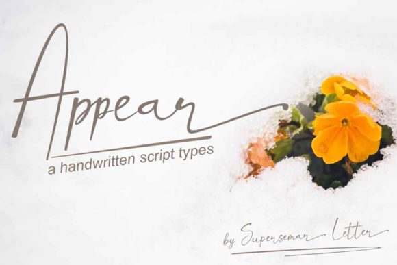 How Appear Helps Small Businesses Build a Consistent and Trustworthy Brand