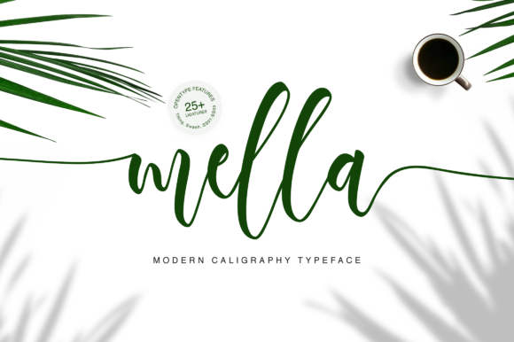 Mella Font Review: Modern Calligraphy for Campaign Design